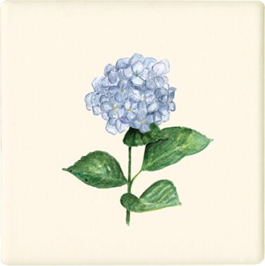 FLOWER 'HYDRANGEA STEM' COASTER