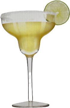 True Brands Sorbo Margarita Glasses