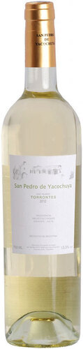 SAN PEDRO DE YACOCHUYA TORRONTES