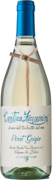 Cantina Zaccagnini Pinot Grigio White 2024