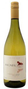 MAGNIFICO CHARDONNAY 750ml