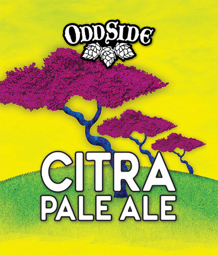 Oddside Citra Pale Ale 6pk Cans