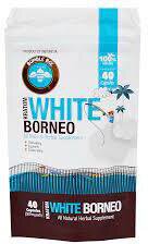 Bumble Bee White Borneo