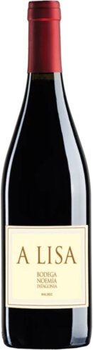 Bodega Noemia A Lisa Patagonia Malbec