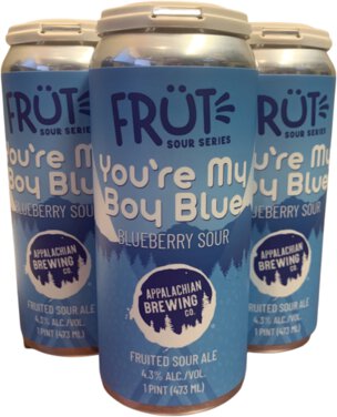 Appalachian You're My Boy Blueberry Sour 4PK Cans