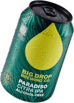 Big Drop Paradiso NA IPA