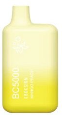 Elf Bar Mango Peach