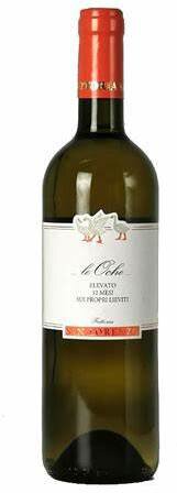 San Lorenzo Verdicchio Le Oche Marche