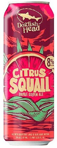 Dogfish Head Citrus Squall