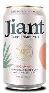 Jiant Hicamaya Grapefruit And Hibiscus Hard Kombucha