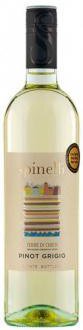 Spinelli Pinot Grigio Terre Di Chieti