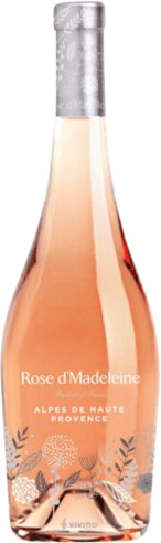 Rose D'madeleine Rose
