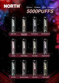 North Gum Mint 5000 Puffs