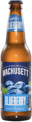 Wachusett Blueberry Ale 6pk