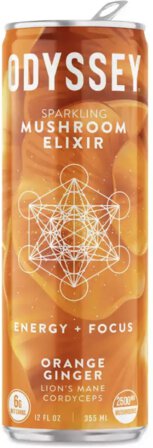 Odyssey Mushroom Elixir Energy Focus Orange Ginger Sparkling