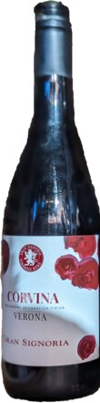 Gran Signoria Corvina Verona