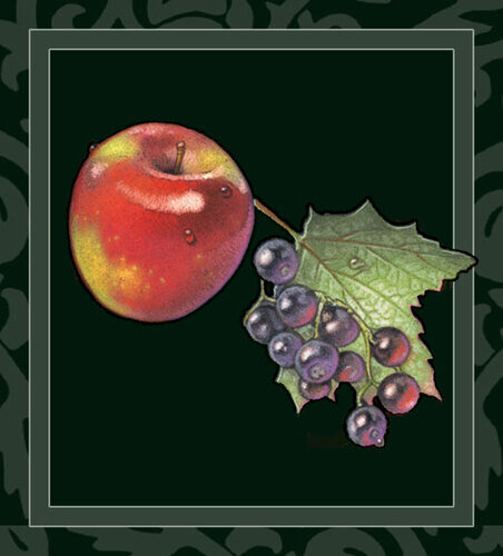 Forestedge Cassis Pomme Reserv