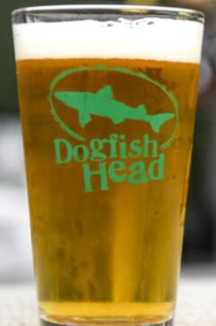 Dogfish Head Pint Glass