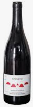 Philippe Tessier Rouge Cheverny 2022