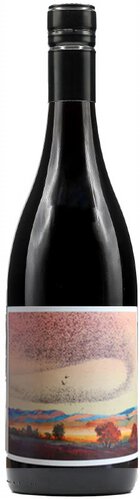 Johan Vineyards Murmuration