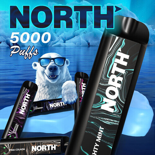 North 5000puffs