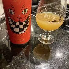 Fat Orange One Cat On The Chess Board Neipa Limited Release