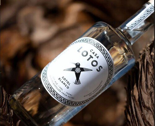 Casa Lotos Sotol Blanco