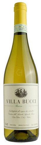 Villa Bucci Verdicchio Classico Riserva