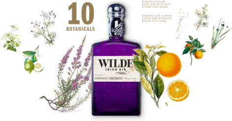 WILDE IRISH GIN