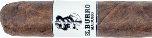 El Burro Corojo Robusto