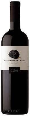 Benvenuto De La Serna Malbec Benvenuto Mal