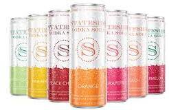 Statevide Vodka Soda Variety Pack 24Pk