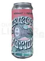 Aeronaut Brewing Co. & Castle Island Objects In Motion