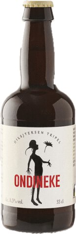 De Glazen Toren Ondineke