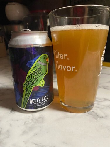 Gate City Pretty Bird