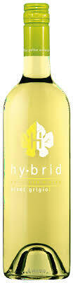 Hybrid Pinot Grigio