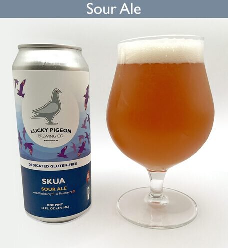 C Lucky Pigeon Skua Sour Gluten Free Beer