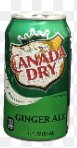 CANADA DRY GINGER ALE 2L