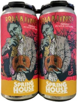 Spring House Braaaiins