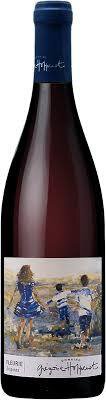Domaine Grégoire Hoppenot Beaujolais Fleurie Origines