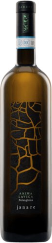 Janare Falanghina Del Sannio La Guardiense Skin Fermented White