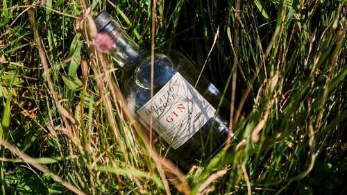 Isolation Proof Original Vegan Gin
