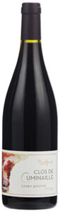 Domaine Pierre Gaillard Saint-Joseph 