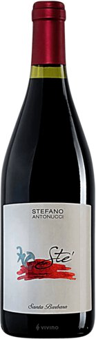 Stefano Antonucci Rosso Piceno