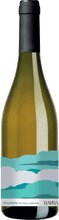 Barba Pecorino
