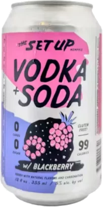 Wiseacre The Set Up Blackberry Vodka Soda