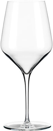 Wine Glasses 4 pack