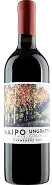 Ungrafted Carmenere Maipo Valley