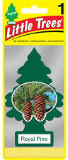 Little Tree Fresh Royal Pine