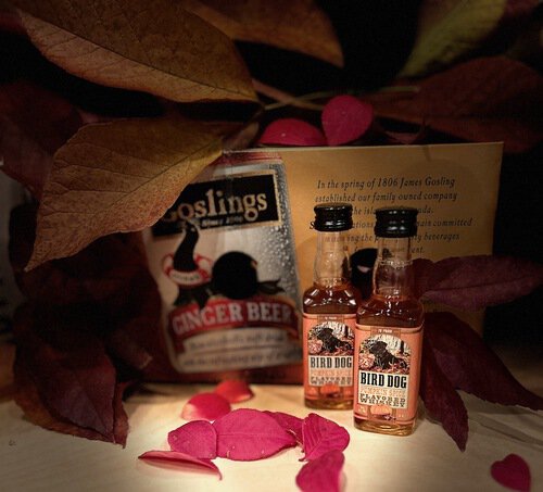 S Hover Hootch Pumpkin Mule